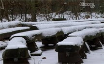 plaatje: Video: Sfeerimpressie Natuurbegraafplaats Bergerbos in St.Odilinberg