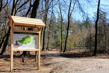 plaatje: Geopend: unieke natuurbegraafplaats in beschermd natuurgebied Elspeterbos op de Noord-Veluwe