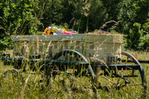 plaatje: Open dag Natuurbegraafplaats De Hoevens op 4 juni